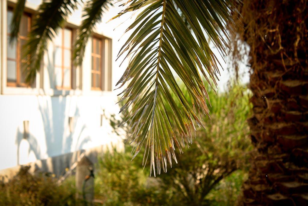 Cabeca Da Cabra Casa De Campo Porto Covo Esterno foto